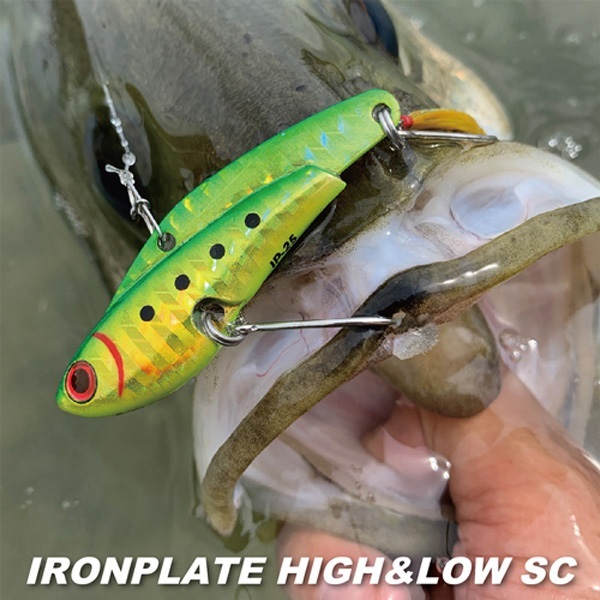 IP-35 アイアンプレート ハイアンドロー シルバークロー